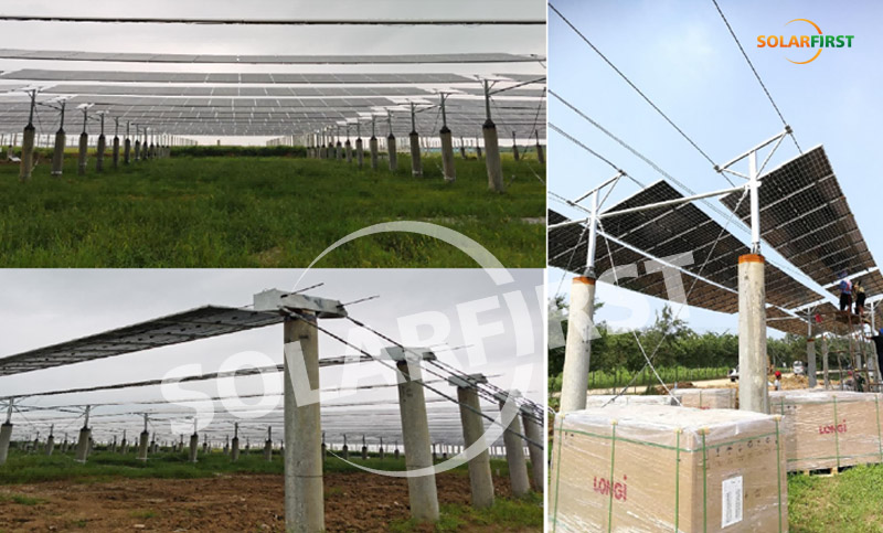 강소 hongsi 1mwp 유연한 서스펜션 케이블 지원 농업 및 태양열 보완 프로젝트
